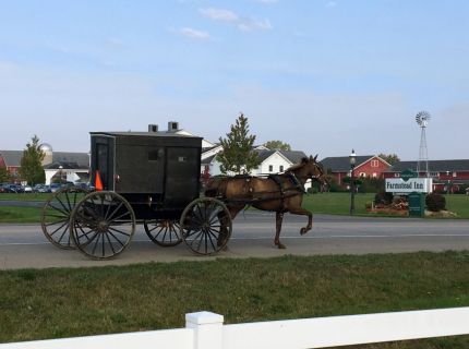 Horse and Buggy at the Farmstead Inn in Shipshewana, IN great for trip ideas
