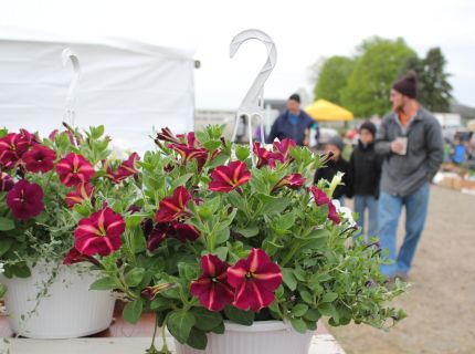 2017 Newbury Square Swap Meet Flowers Shipshewana Auction