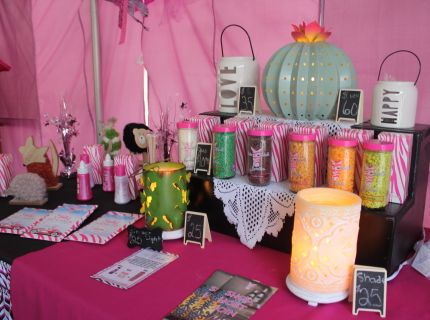 Shipshewana Flea Market-Pink Zebra