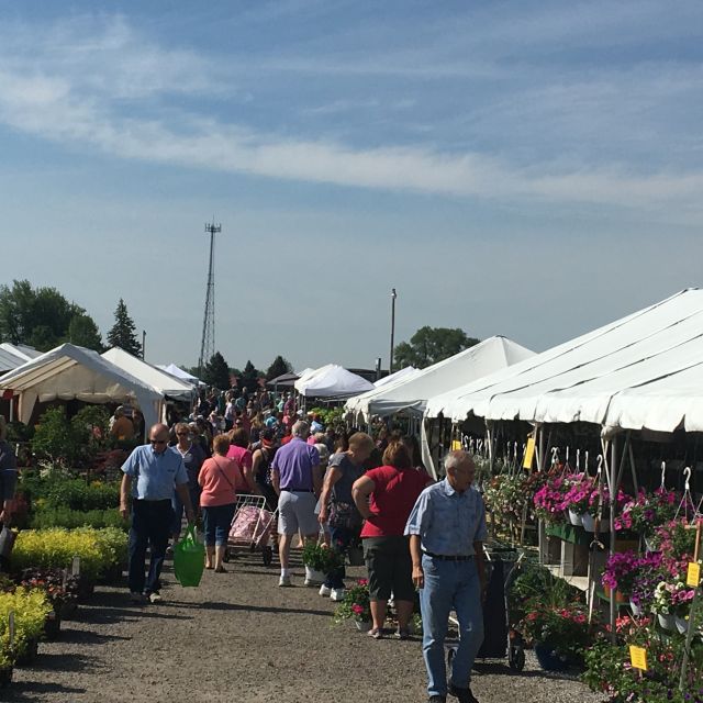 Tents in plant aisle at flea market in Shipshewana