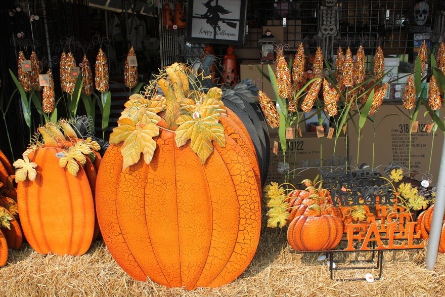 14 Inexpensive Ideas to Give Your Home a Cozy Fall Makeover