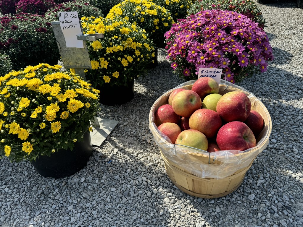 5 Reasons to Visit Shipshewana Flea Market After Labor Day