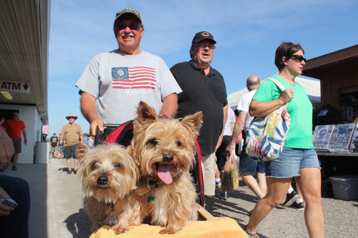 17 Flea Market Booths Every Pet Lover Must Shop