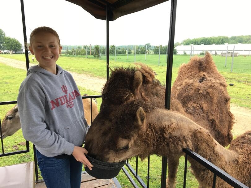 The Whole Family will Love this Immersive Animal Park in Shipshewana