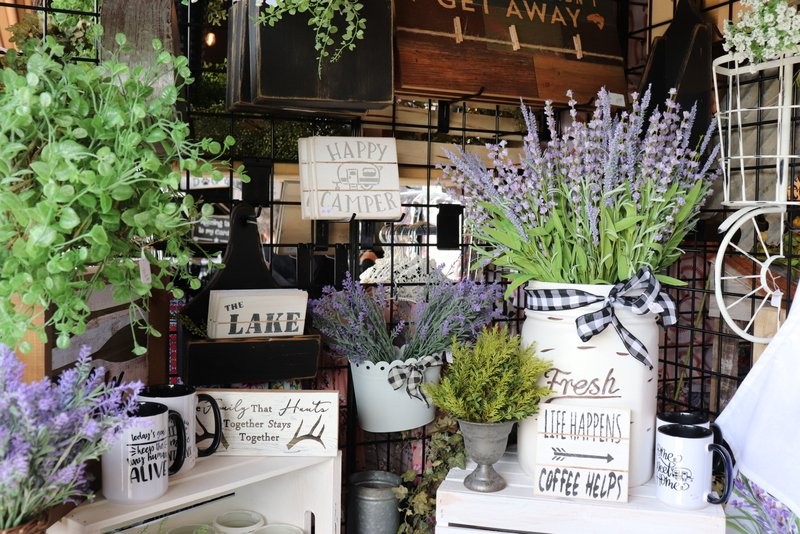 Vendor Spotlight: Expressions in Design